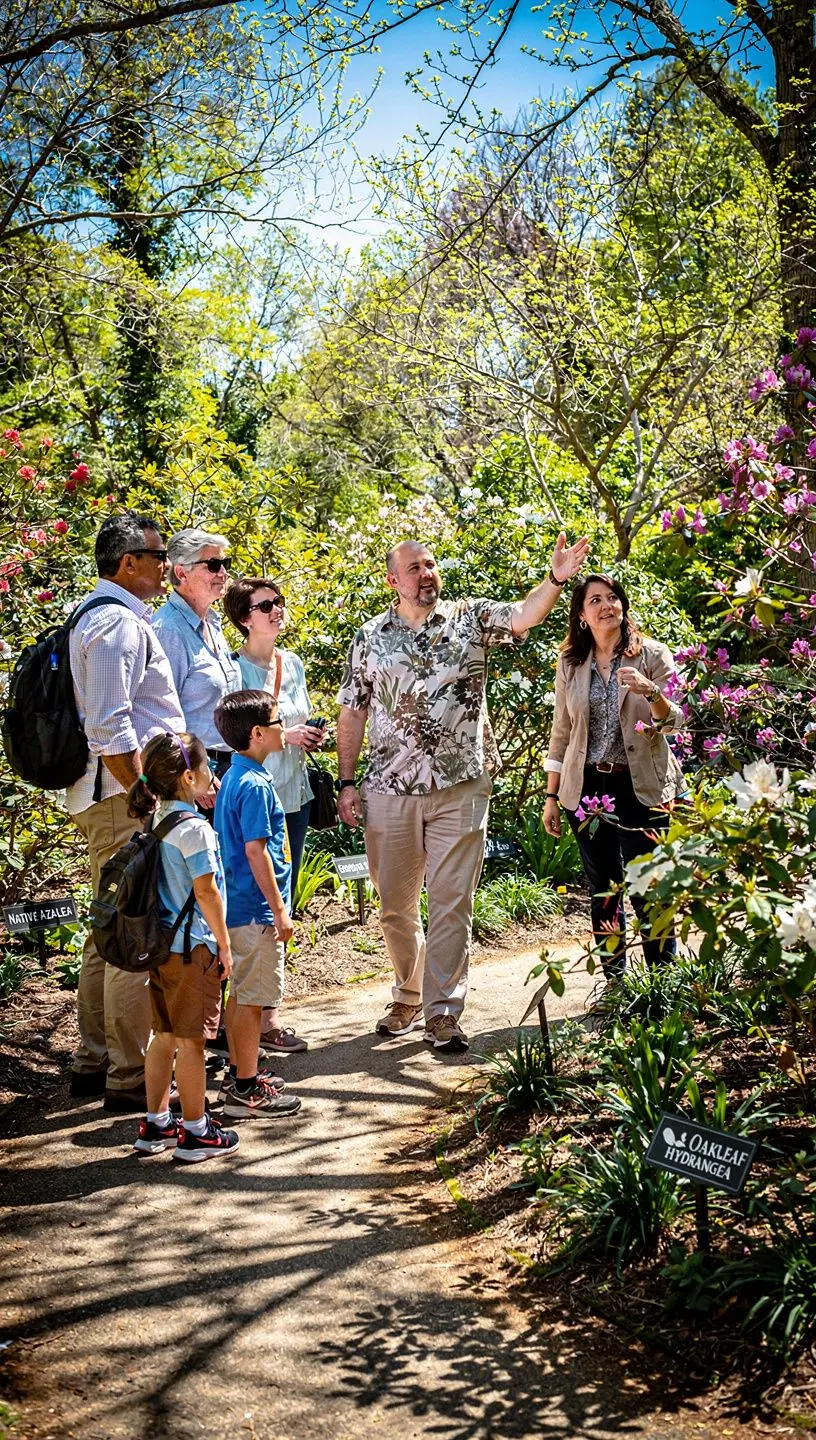Eco-friendly travel agencies supporting conservation efforts.